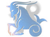 Zodia Capricorn - Horoscop Zilnic zodia Capricorn