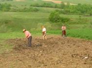 Francezi interesaþi de agricultura din Neamþ