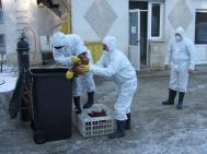Teama de gripa aviar a costat 1 miliard de lei