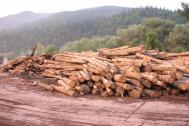 „Drumul lemnului“, blocat de birocraie