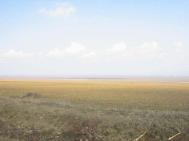 „Mica agriculturã“ a dat faliment