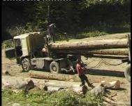 Patron judecat pentru o afacere pe care a uitat s-o pl�teasc�