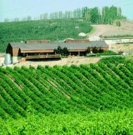 Franta cere muncitori si n domeniul viticol