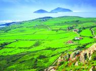 Irlanda ne oferã joburi, dar numai cu permis de muncã