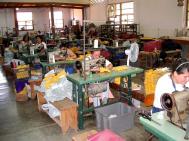 Ofert� de munc� redus� pentru licentiati
