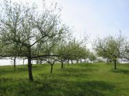 Subventiile, accesibile doar agricultorilor cu aptitudini... de manageri