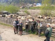 „Taxa de gloabã“, la fel ca anul trecut