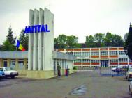 Desfigurat la Mittal Steel