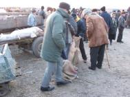 Comert la întîmplare în pietele si oboarele judetului