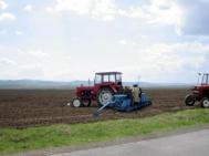 Austriecii ne învata agricultura