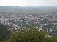 Gazele se extind pe ulitele din Tîrgu Neamt