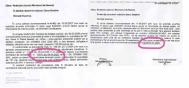 Secretul „cîinelui“ Borcea