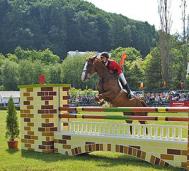 Procesul calului, prima �nf�tisare