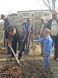 Pãdurice în Valea Plîngerii