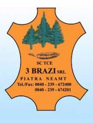 SC TCE 3 BRAZI SRL Piatra Neamt