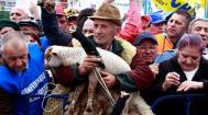 Fermierii nemteni, neinvitati la proteste