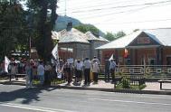 Liber la proteste în fata PDL Neamt