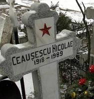 „  Ceausescu avea 93 de ani, dac s-ar fi tratat la Viena“