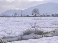 Meteorologii zic cã zãpada-i pe ducã