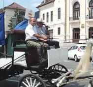 Lupu a urlat în   apãrarea cailor