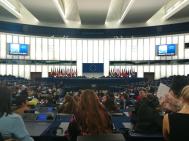 De la Hogas la Strasbourg, europarlamentari pentru o zi