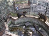 Integrarea în UE lasã Parcul Zoologic fãrã cei mai importanþi „locatari“