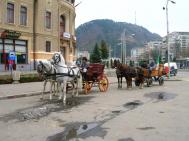 „Taxiurile“ trase de cai au intrat în peisajul pietrean