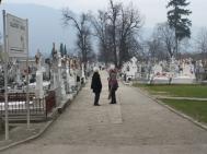 Morii nimnui