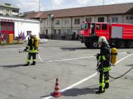 Profesionalizarea pompierilor creazã 222 de locuri de muncã