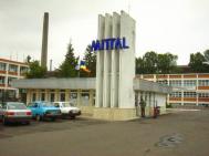 Prim�ria Roman sare la g�tul Mittal Steel