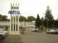 Ancheta taraganata la „Mittal Steel“