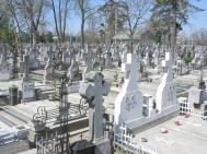 Cimitir concesionat cu conditia... construirii altuia