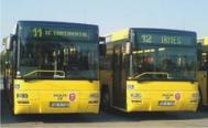 Autobuze de un milion de euro la Troleibuzul