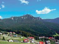 LUPT APRIG PENTRU PRTIE
