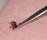 Isteria cpuselor, nemteni la spital