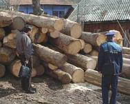Ancheta se extinde n cazul „Jaf n pduri“