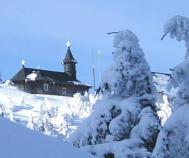 Fr ninsoare sau   viscol, de Revelion