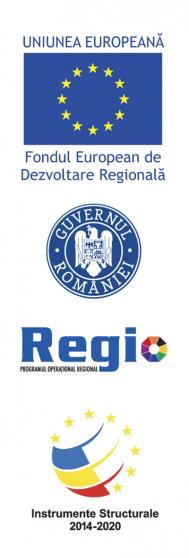 DIVERSIFICAREA ACTIVITATII SOCIETATII GEAMURI SERV SRL PRIN LANSAREA DE NOI PRODUSE